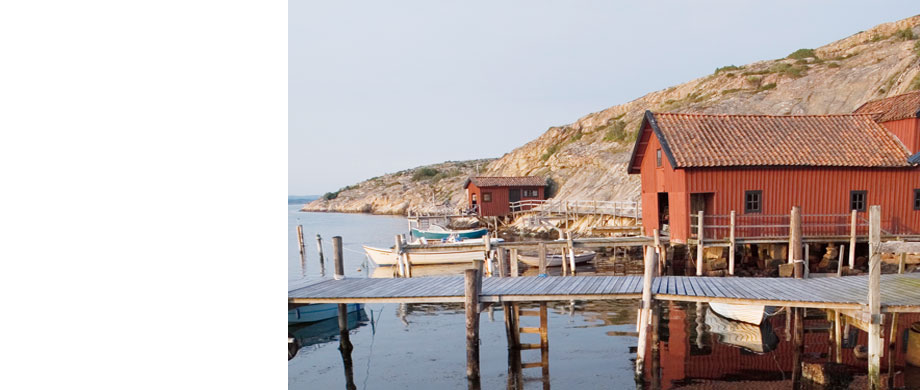 THE ENVIRONMENTALLY RESPONSIBLE CHOICE